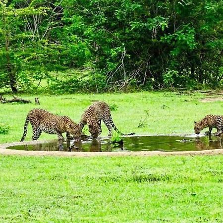 Yala Leopard Mobile Camp Hotel Buitenkant foto