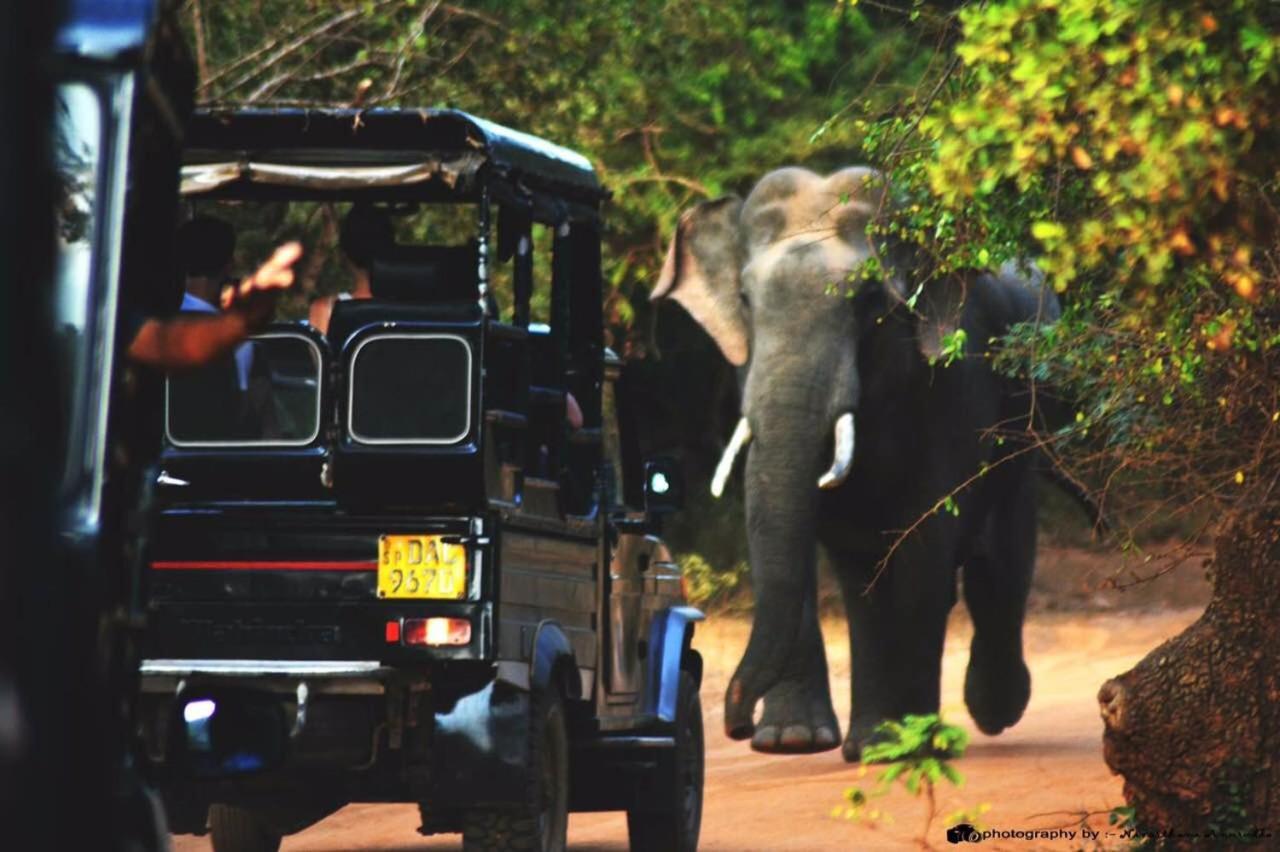 Yala Leopard Mobile Camp Hotel Buitenkant foto
